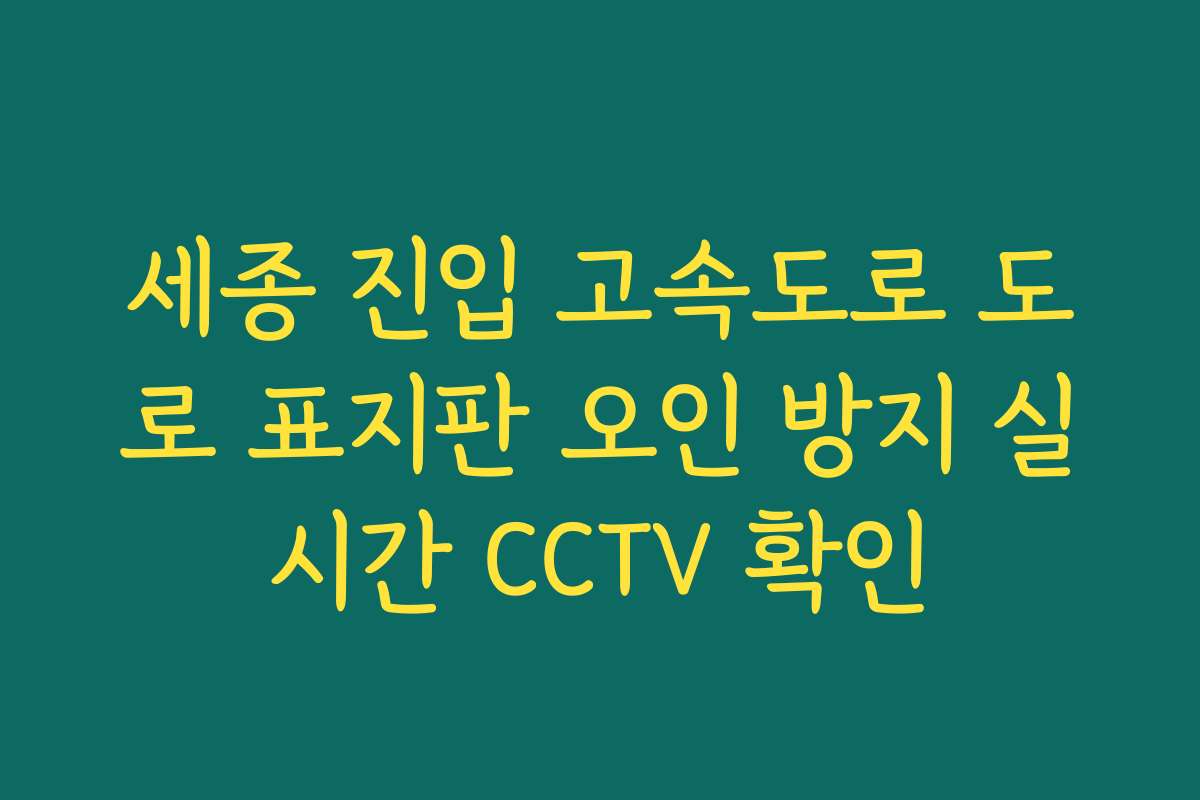 세종 진입 고속도로 도로 표지판 오인 방지 실시간 CCTV 확인