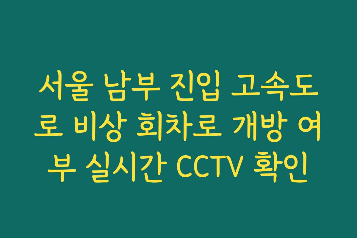 서울 남부 진입 고속도로 비상 회차로 개방 여부 실시간 CCTV 확인