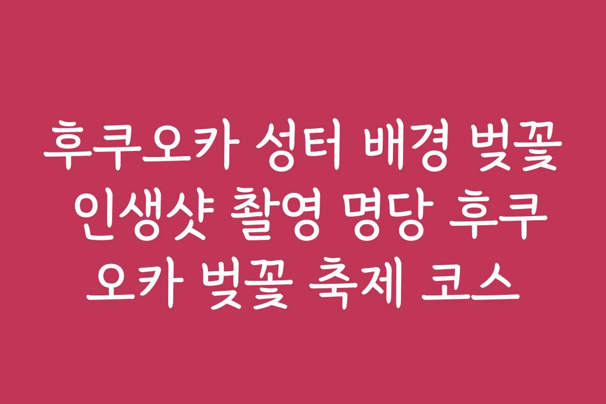 후쿠오카 성터 배경 벚꽃 인생샷 촬영 명당 후쿠오카 벚꽃 축제 코스