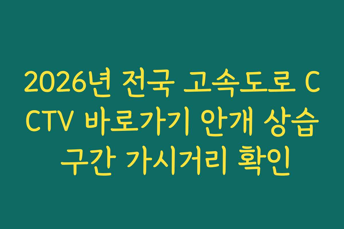 2026년 전국 고속도로 CCTV 바로가기 안개 상습 구간 가시거리 확인