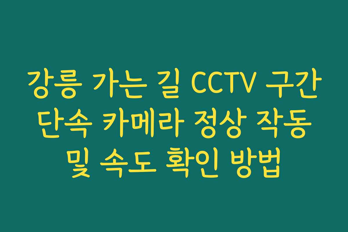 강릉 가는 길 CCTV 구간 단속 카메라 정상 작동 및 속도 확인 방법