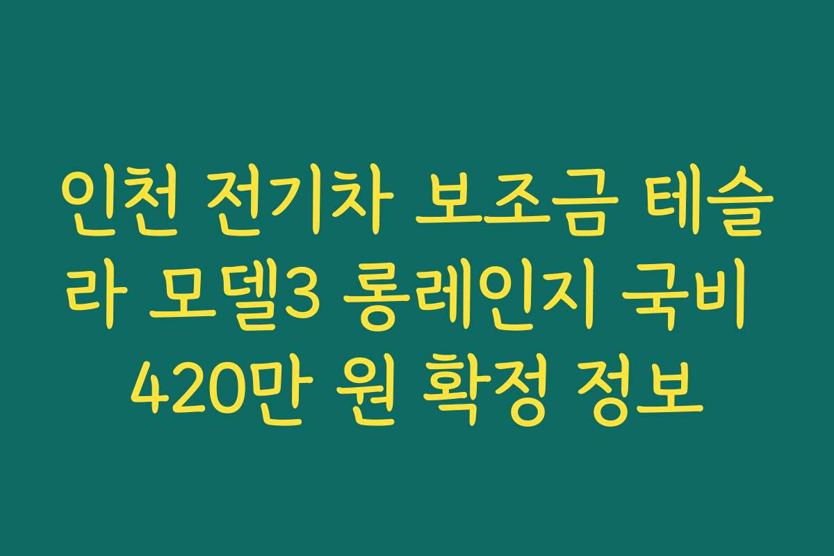인천 전기차 보조금 테슬라 모델3 롱레인지 국비 420만 원 확정 정보