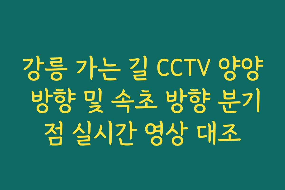 강릉 가는 길 CCTV 양양 방향 및 속초 방향 분기점 실시간 영상 대조