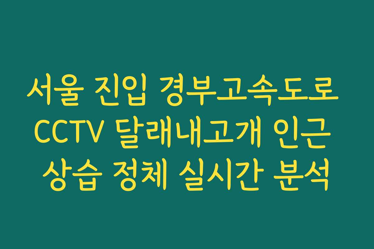 서울 진입 경부고속도로 CCTV 달래내고개 인근 상습 정체 실시간 분석