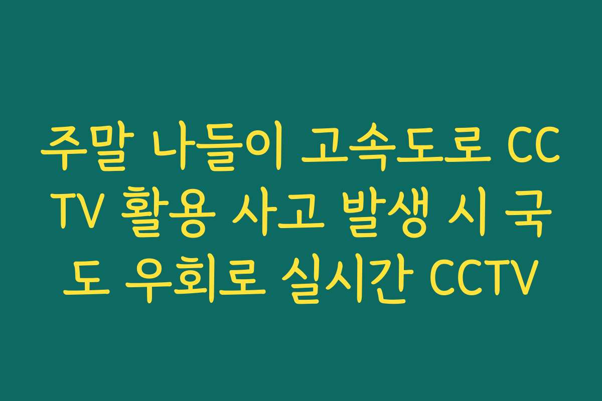 주말 나들이 고속도로 CCTV 활용 사고 발생 시 국도 우회로 실시간 CCTV