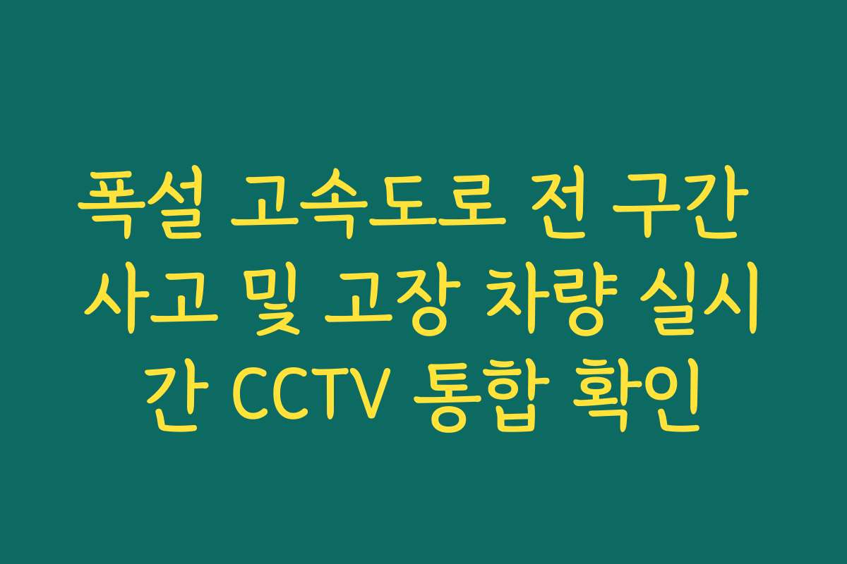 폭설 고속도로 전 구간 사고 및 고장 차량 실시간 CCTV 통합 확인