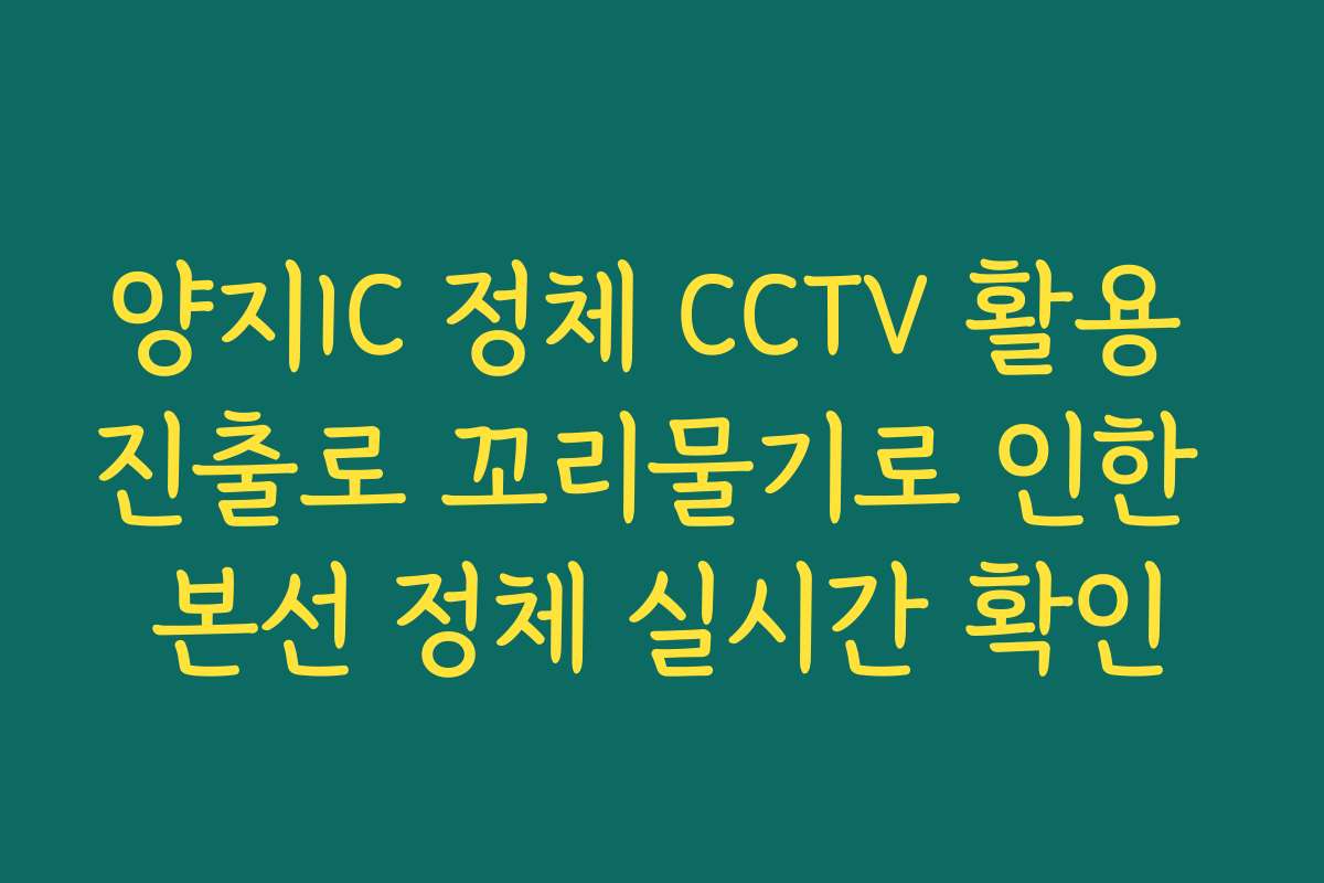 양지IC 정체 CCTV 활용 진출로 꼬리물기로 인한 본선 정체 실시간 확인