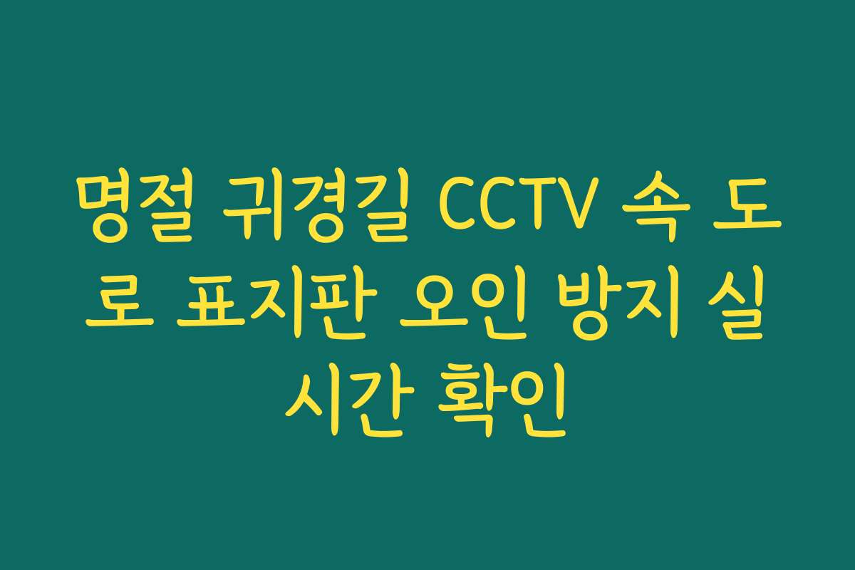 명절 귀경길 CCTV 속 도로 표지판 오인 방지 실시간 확인