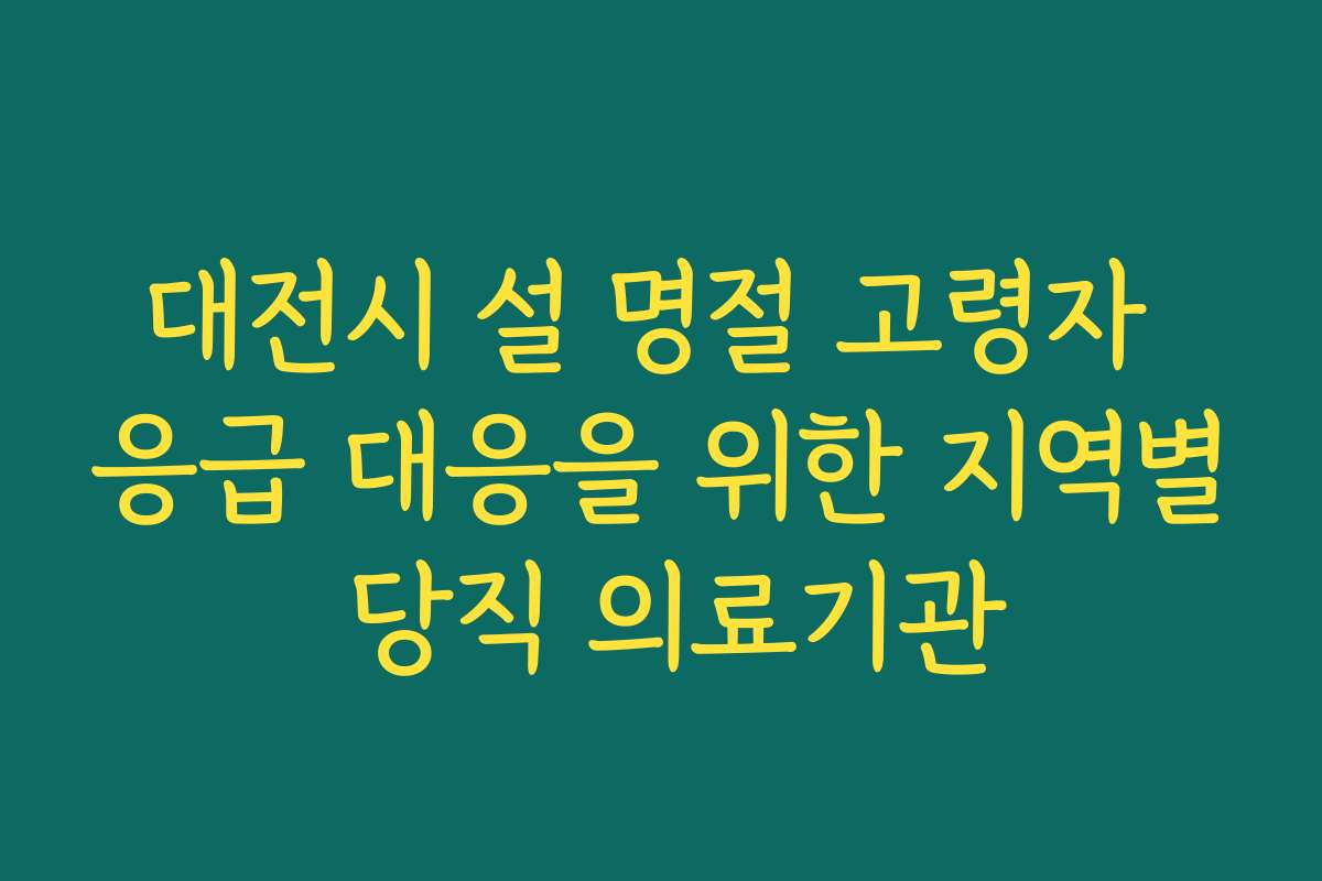 대전시 설 명절 고령자 응급 대응을 위한 지역별 당직 의료기관