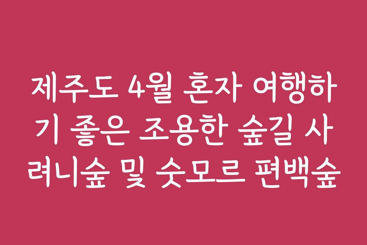 제주도 4월 혼자 여행하기 좋은 조용한 숲길 사려니숲 및 숫모르 편백숲