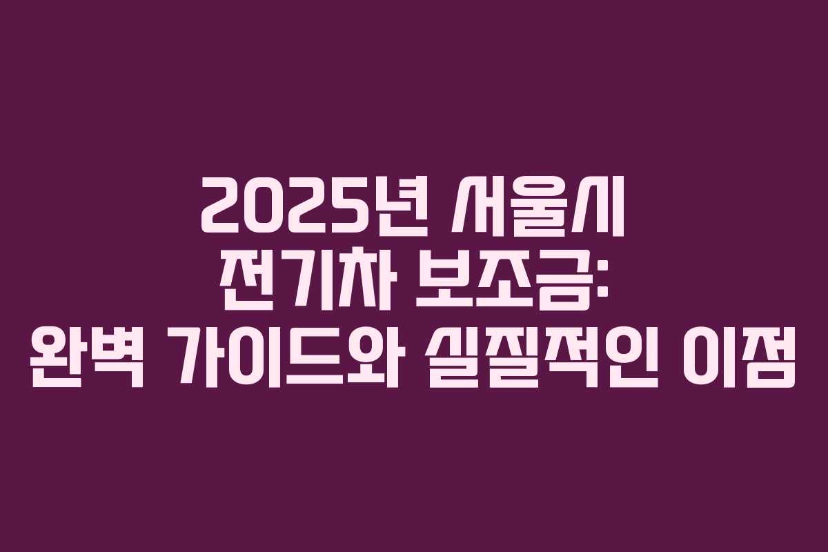 2025년 서울시 전기차 보조금: 완벽 가이드와 실질적인 이점