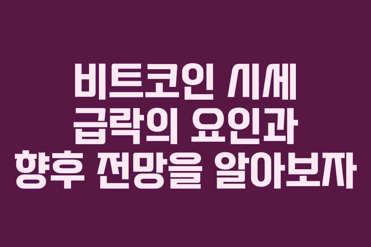 비트코인 시세 급락의 요인과 향후 전망을 알아보자