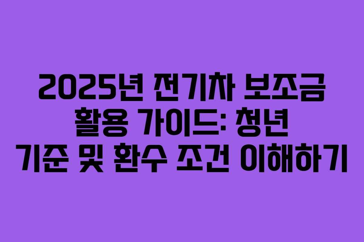 2025년 전기차 보조금 활용 가이드: 청년 기준 및 환수 조건 이해하기