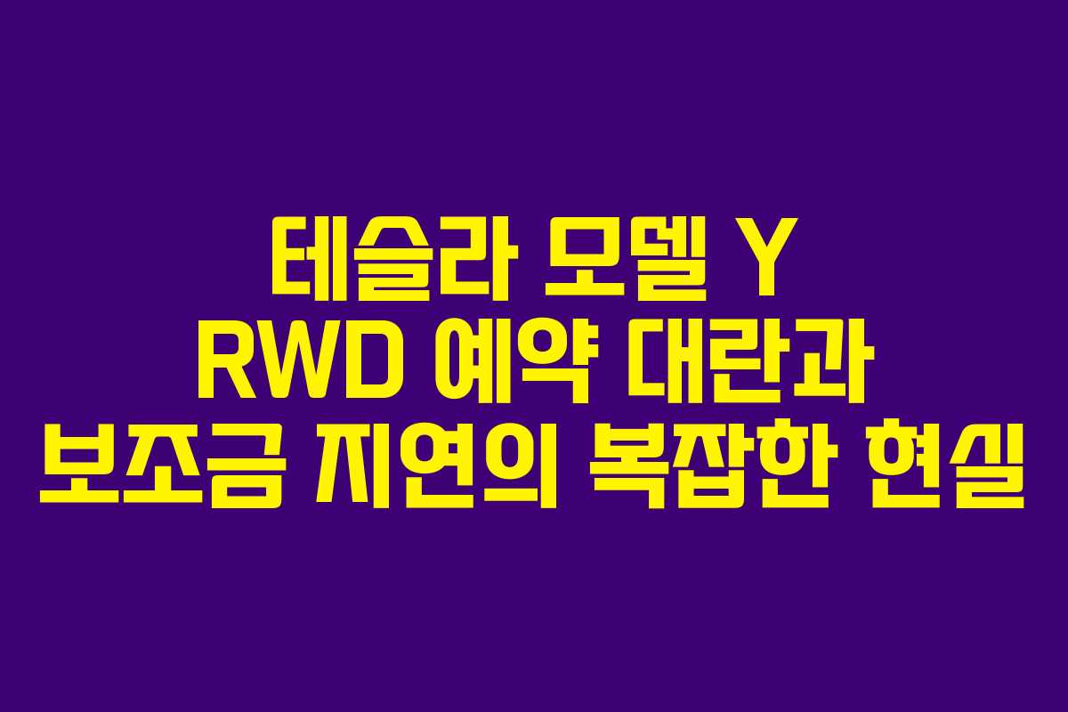 테슬라 모델 Y RWD 예약 대란과 보조금 지연의 복잡한 현실