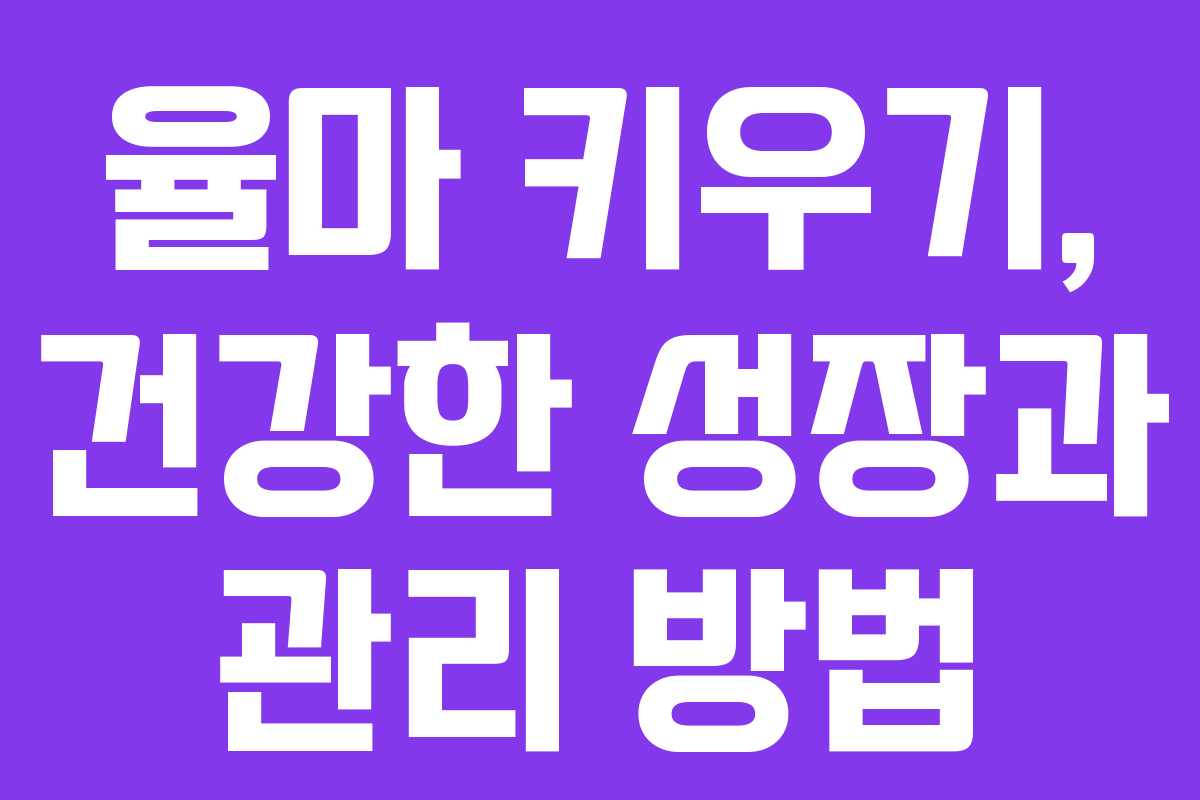 율마 키우기, 건강한 성장과 관리 방법
