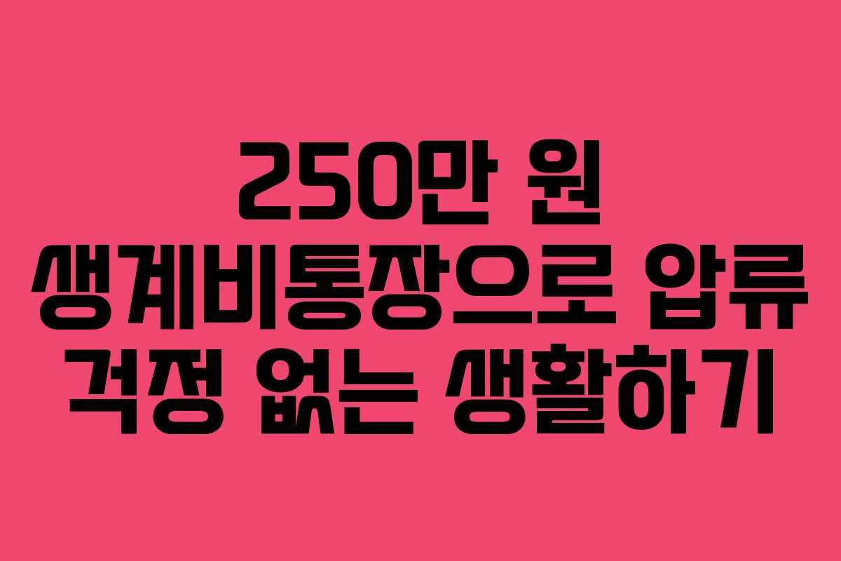 250만 원 생계비통장으로 압류 걱정 없는 생활하기