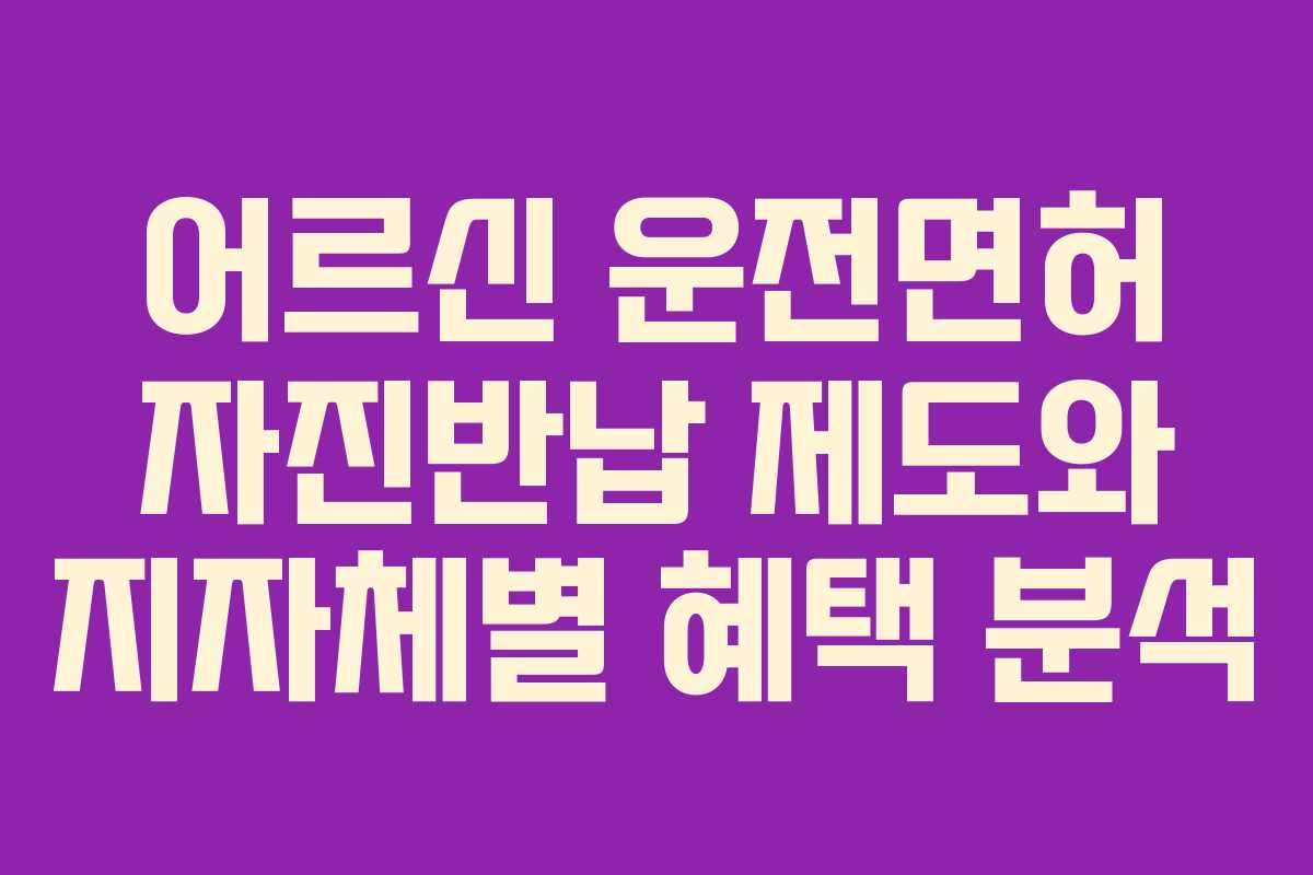 어르신 운전면허 자진반납 제도와 지자체별 혜택 분석