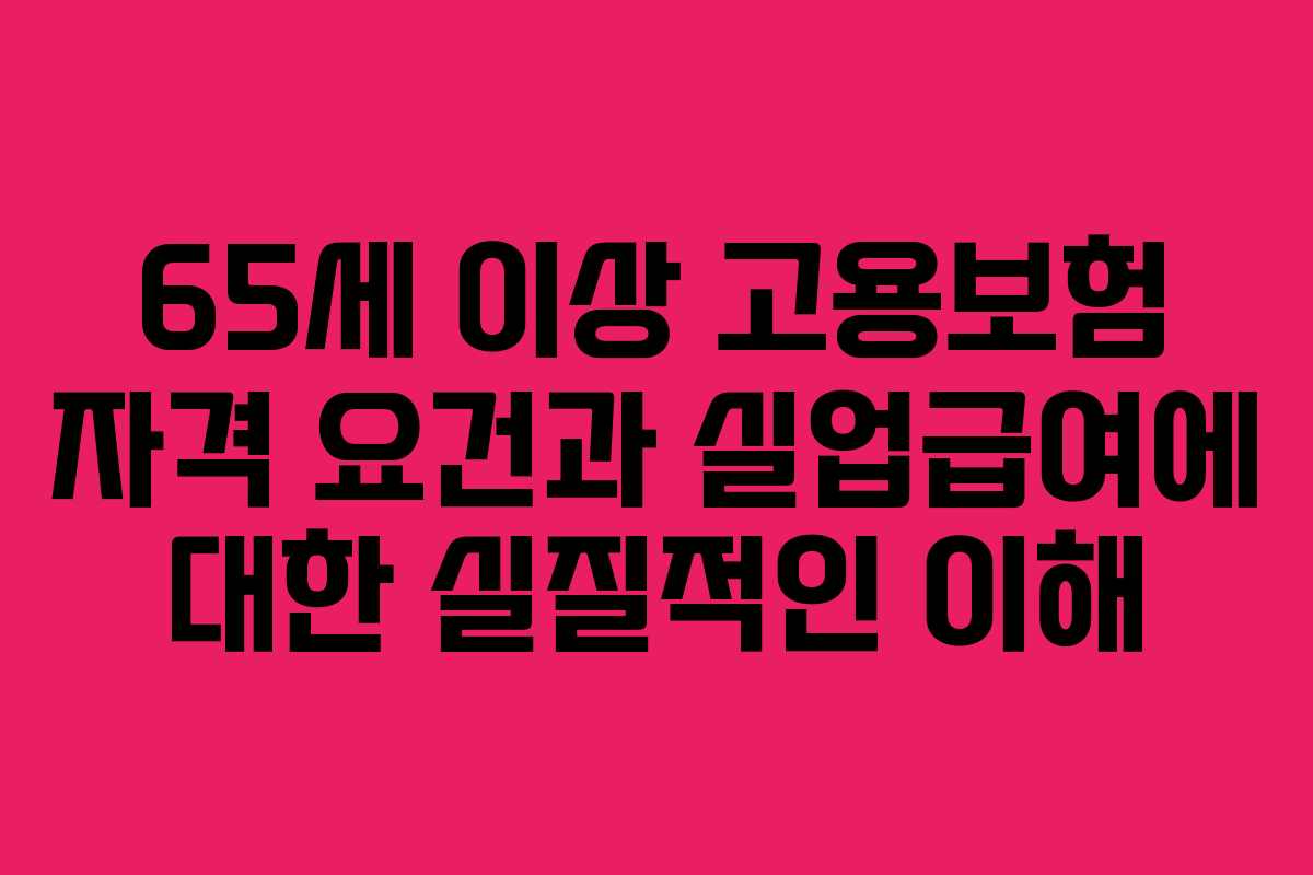 65세 이상 고용보험 자격 요건과 실업급여에 대한 실질적인 이해