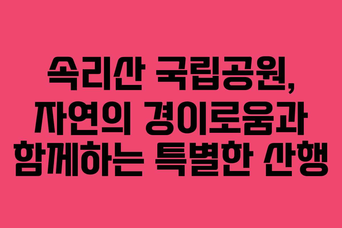 속리산 국립공원, 자연의 경이로움과 함께하는 특별한 산행