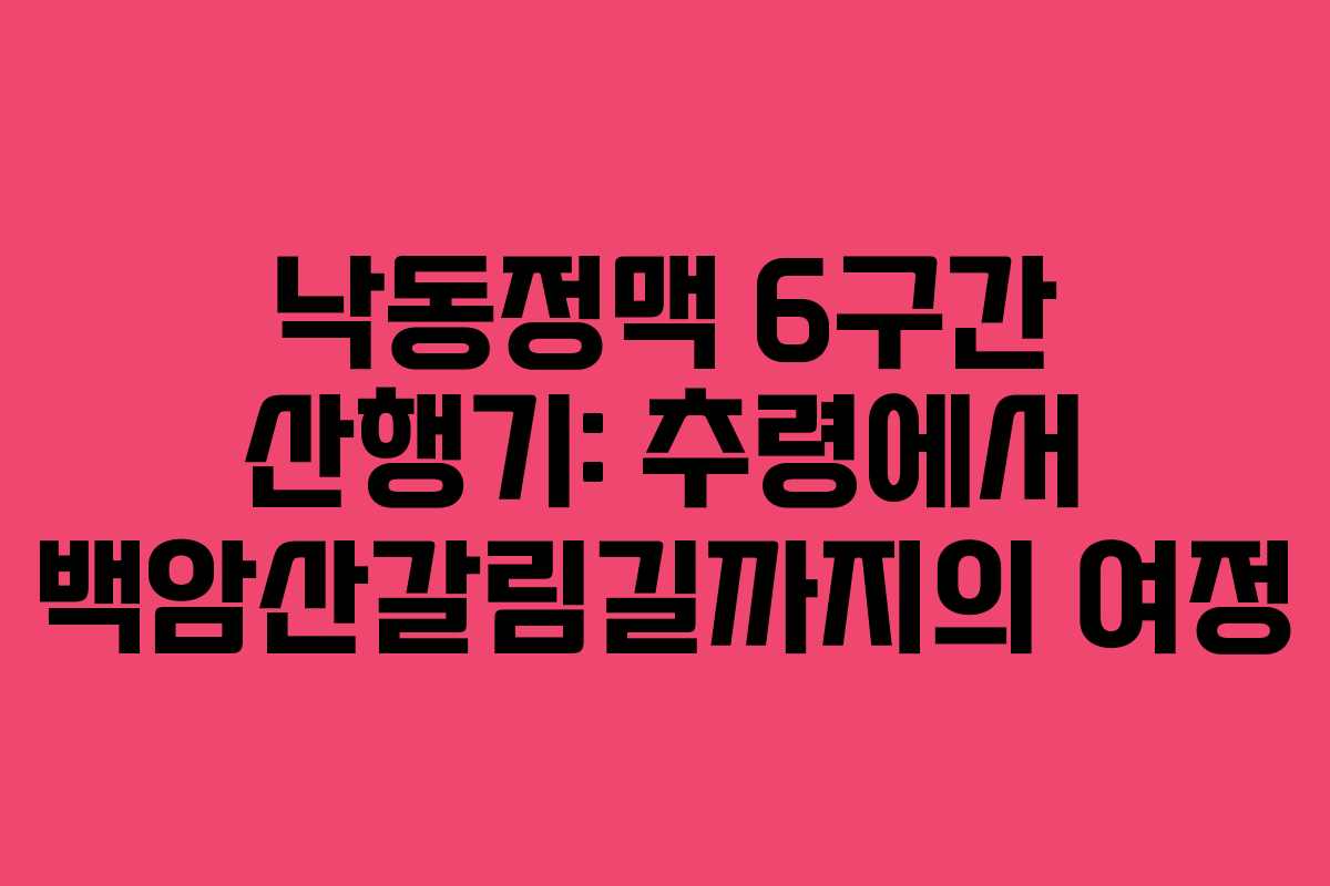 낙동정맥 6구간 산행기: 추령에서 백암산갈림길까지의 여정