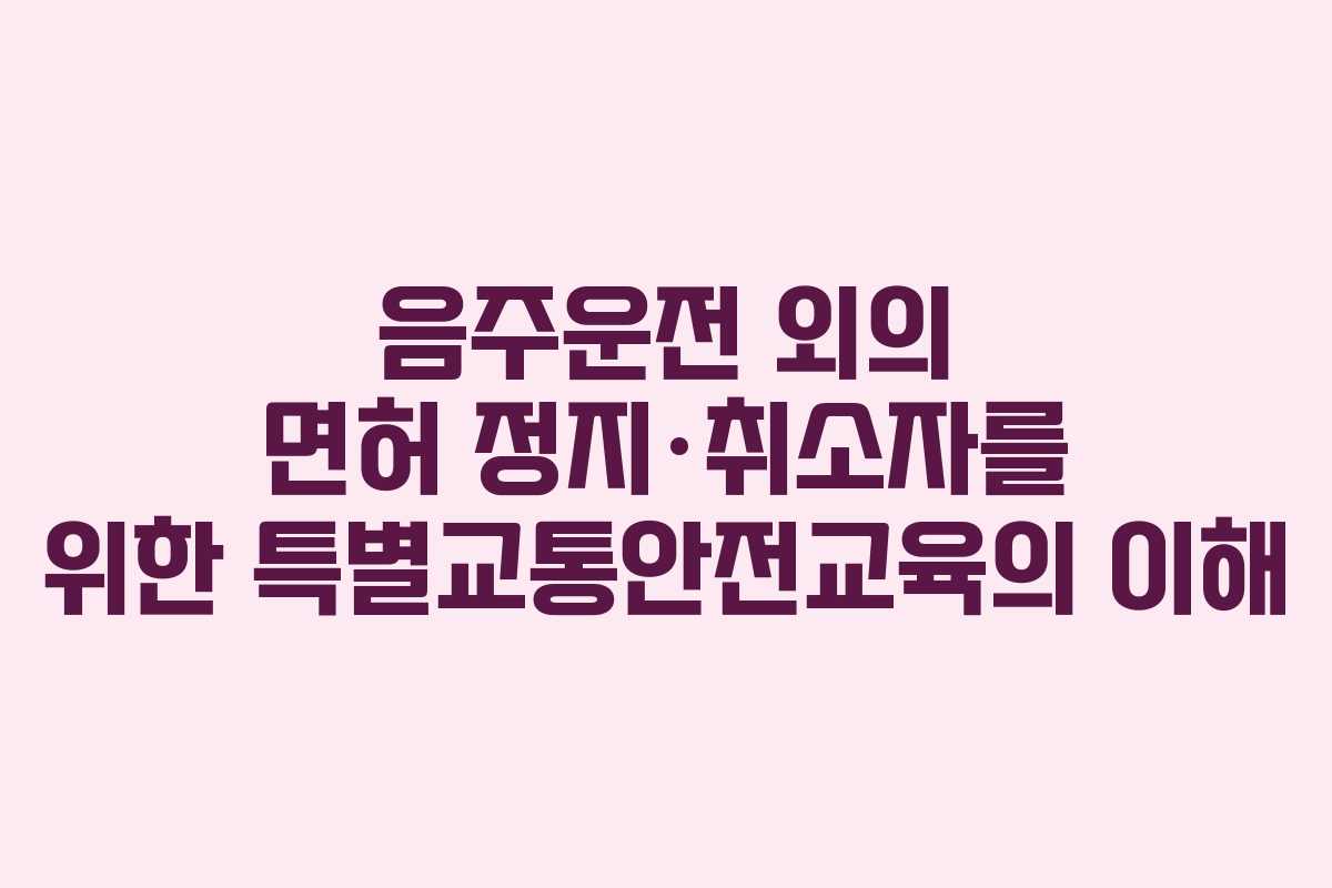 음주운전 외의 면허 정지·취소자를 위한 특별교통안전교육의 이해