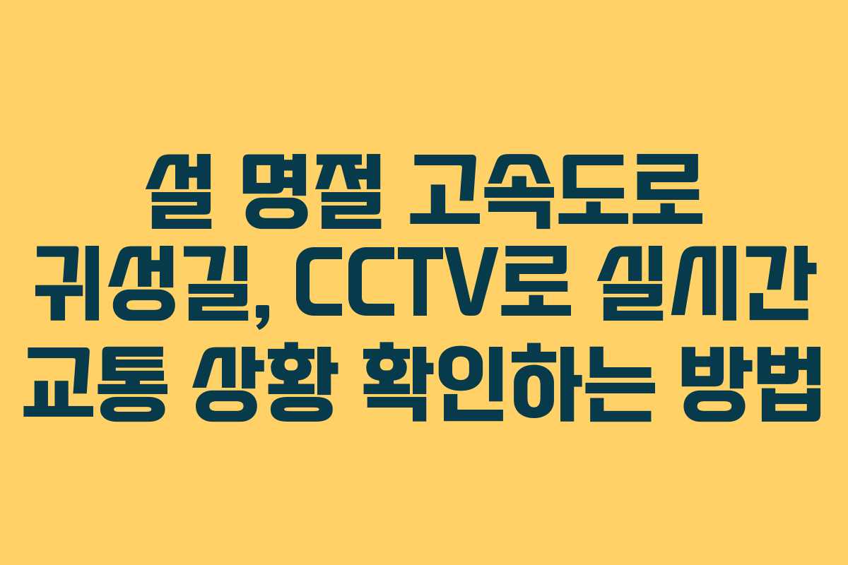 설 명절 고속도로 귀성길, CCTV로 실시간 교통 상황 확인하는 방법