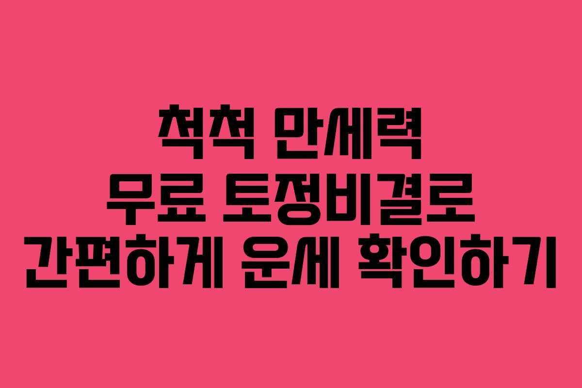 척척 만세력 무료 토정비결로 간편하게 운세 확인하기