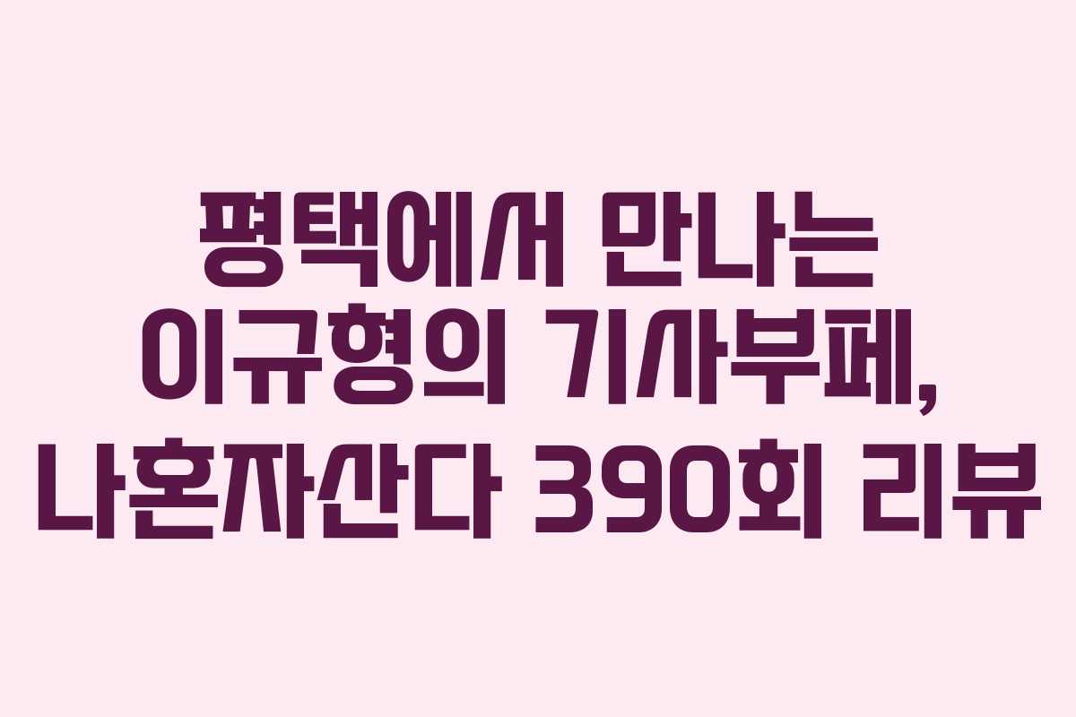 평택에서 만나는 이규형의 기사부페, 나혼자산다 390회 리뷰