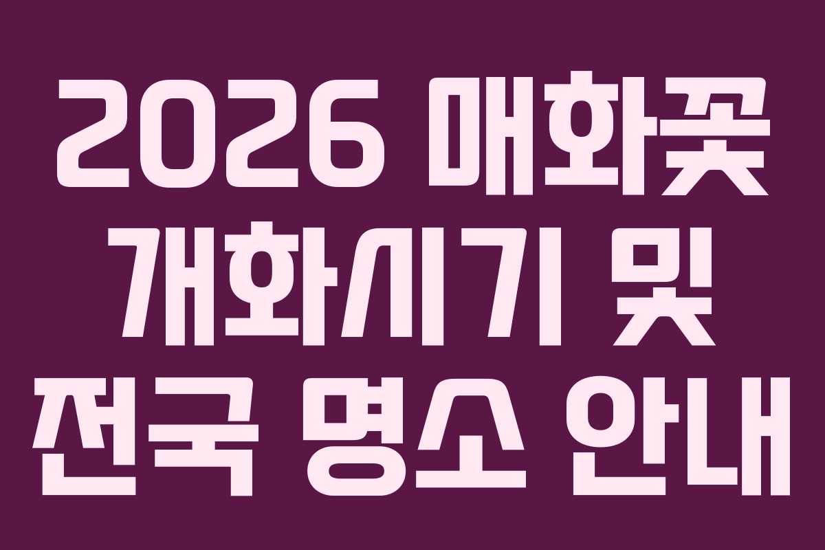 2026 매화꽃 개화시기 및 전국 명소 안내