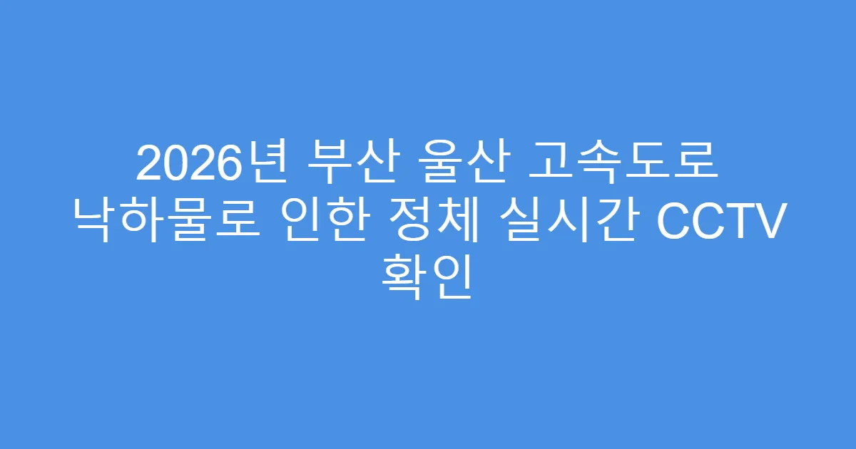 2026년 부산 울산 고속도로 낙하물로 인한 정체 실시간 CCTV 확인