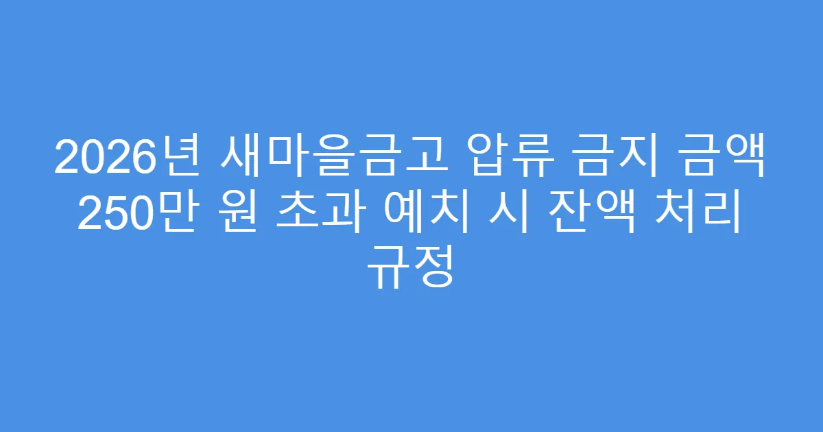 2026년 새마을금고 압류 금지 금액 250만 원 초과 예치 시 잔액 처리 규정
