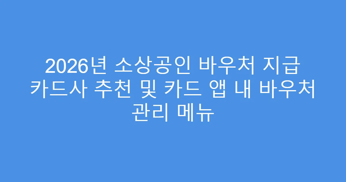 2026년 소상공인 바우처 지급 카드사 추천 및 카드 앱 내 바우처 관리 메뉴