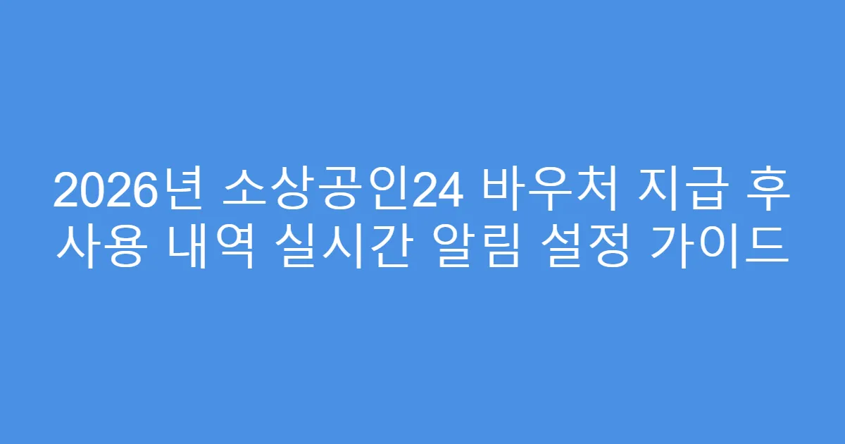 2026년 소상공인24 바우처 지급 후 사용 내역 실시간 알림 설정 가이드