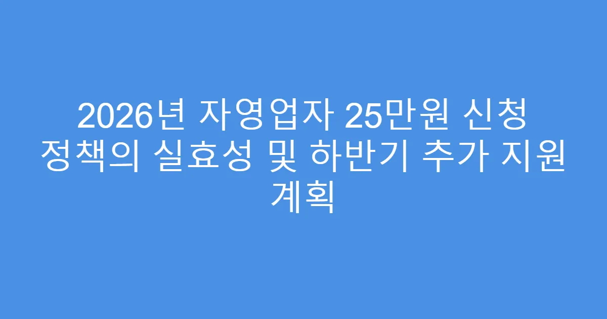 2026년 자영업자 25만원 신청 정책의 실효성 및 하반기 추가 지원 계획