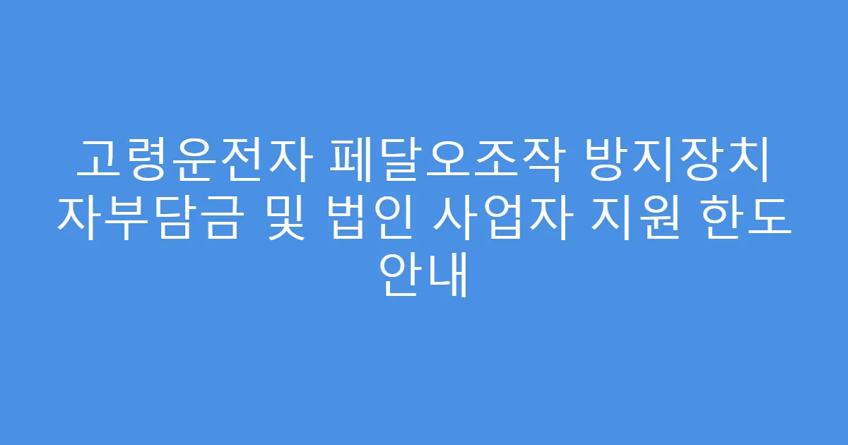 고령운전자 페달오조작 방지장치 자부담금 및 법인 사업자 지원 한도 안내