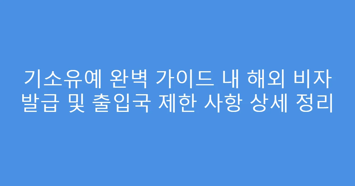 기소유예 완벽 가이드 내 해외 비자 발급 및 출입국 제한 사항 상세 정리