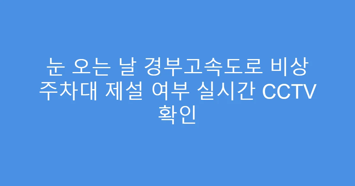 눈 오는 날 경부고속도로 비상 주차대 제설 여부 실시간 CCTV 확인