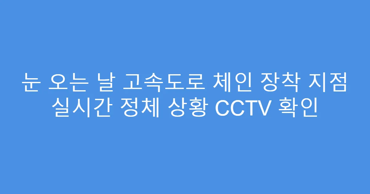 눈 오는 날 고속도로 체인 장착 지점 실시간 정체 상황 CCTV 확인