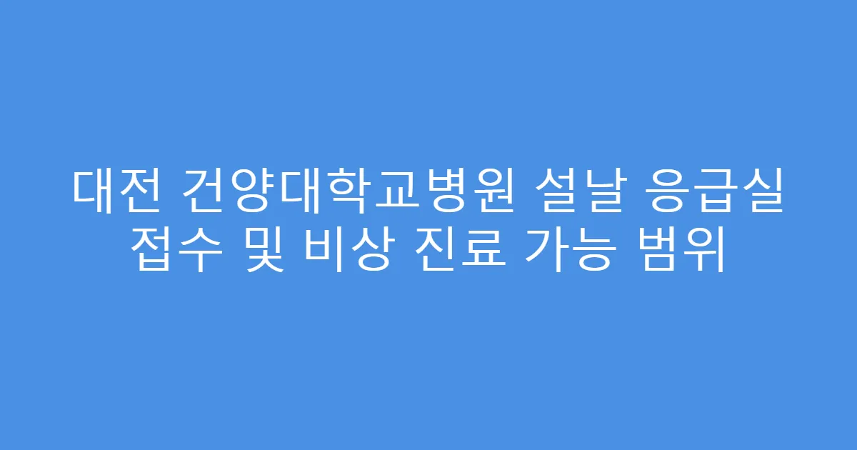 대전 건양대학교병원 설날 응급실 접수 및 비상 진료 가능 범위