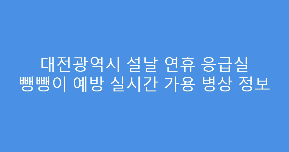 대전광역시 설날 연휴 응급실 뺑뺑이 예방 실시간 가용 병상 정보