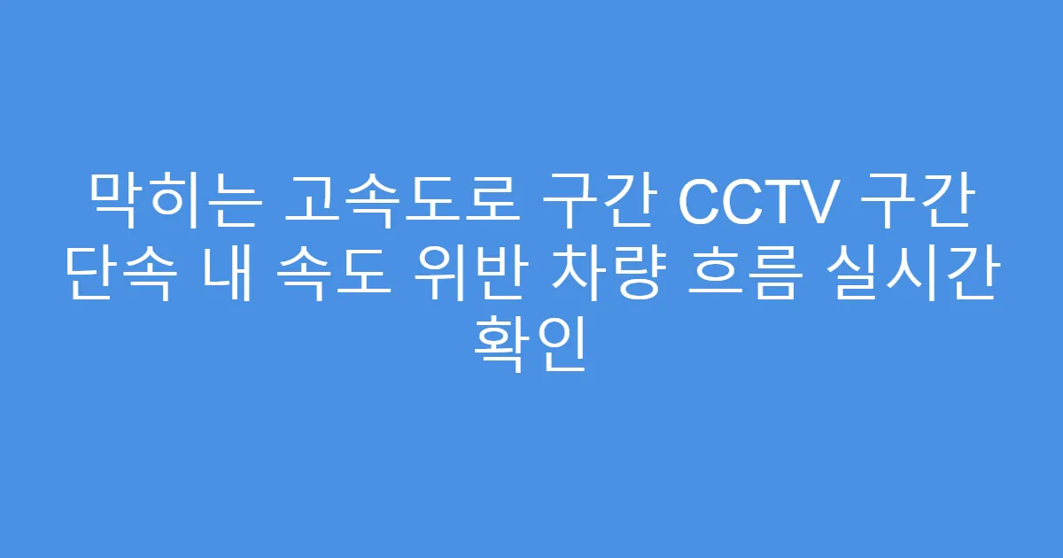 막히는 고속도로 구간 CCTV 구간 단속 내 속도 위반 차량 흐름 실시간 확인