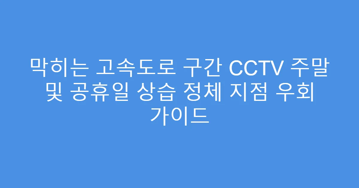 막히는 고속도로 구간 CCTV 주말 및 공휴일 상습 정체 지점 우회 가이드