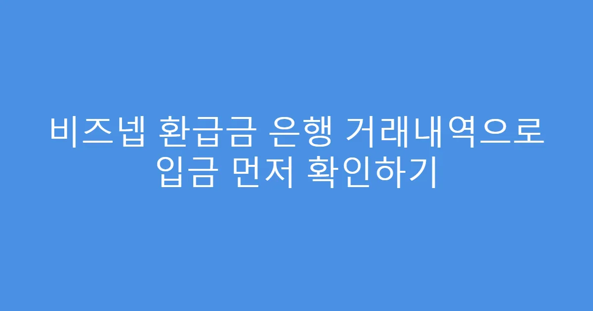 비즈넵 환급금 은행 거래내역으로 입금 먼저 확인하기