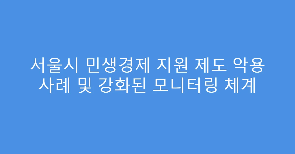서울시 민생경제 지원 제도 악용 사례 및 강화된 모니터링 체계
