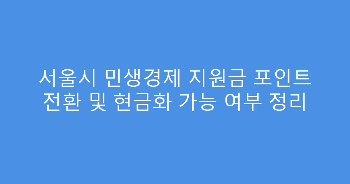 서울시 민생경제 지원금 포인트 전환 및 현금화 가능 여부 정리