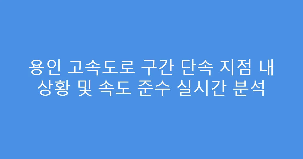 용인 고속도로 구간 단속 지점 내 상황 및 속도 준수 실시간 분석