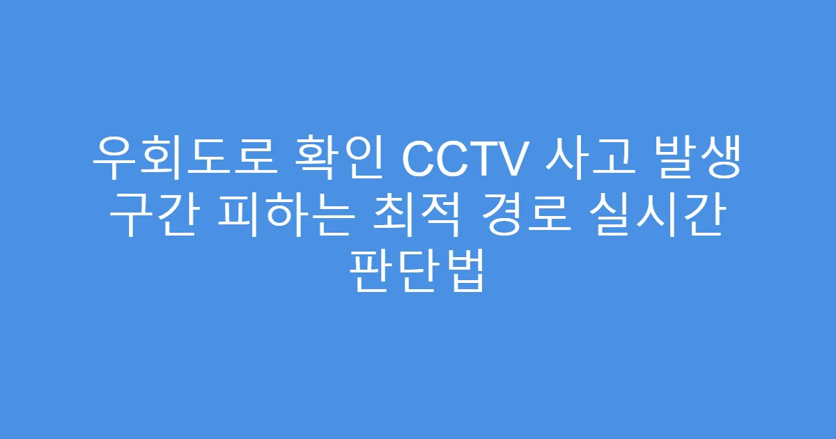 우회도로 확인 CCTV 사고 발생 구간 피하는 최적 경로 실시간 판단법
