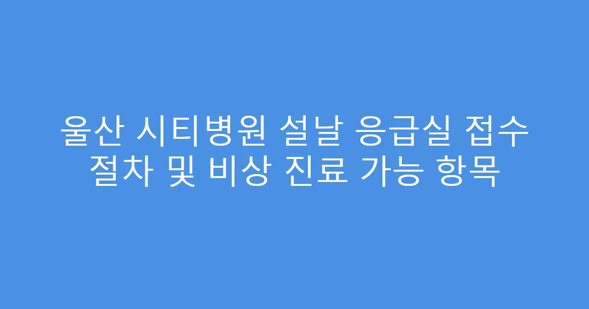 울산 시티병원 설날 응급실 접수 절차 및 비상 진료 가능 항목