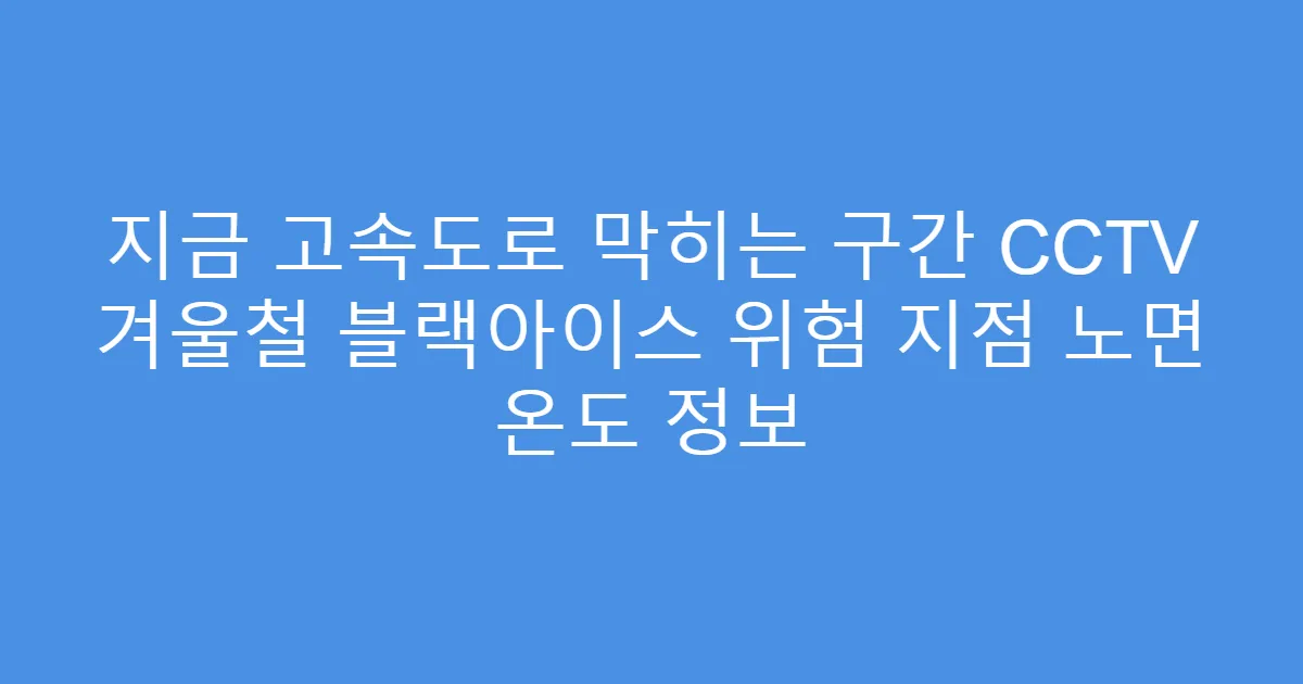 지금 고속도로 막히는 구간 CCTV 겨울철 블랙아이스 위험 지점 노면 온도 정보