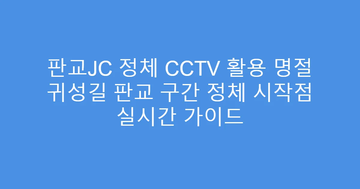 판교JC 정체 CCTV 활용 명절 귀성길 판교 구간 정체 시작점 실시간 가이드